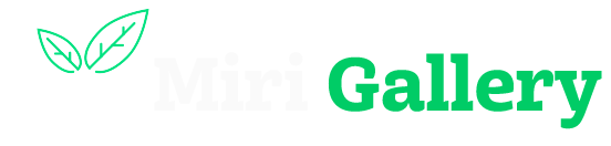 mirigallery