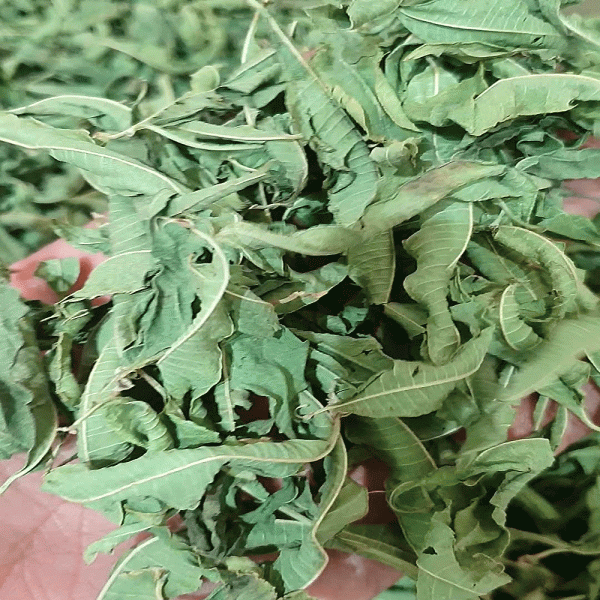 چای به‌لیمو (Lemon Verbena Tea)1کیلویی