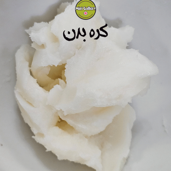 کره بدن فرانسوی 10کیلویی